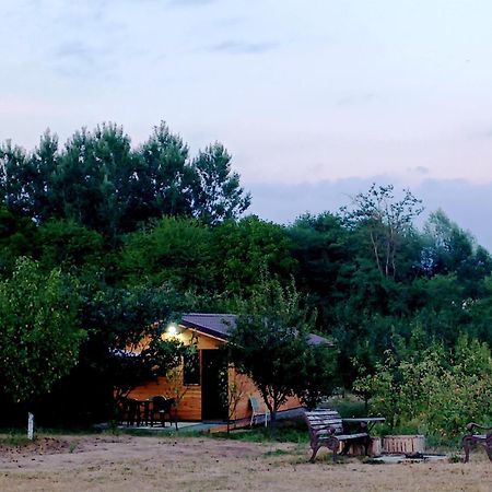 Villa La Livada à Valea Danului Extérieur photo