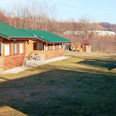 Villa La Livada à Valea Danului Extérieur photo