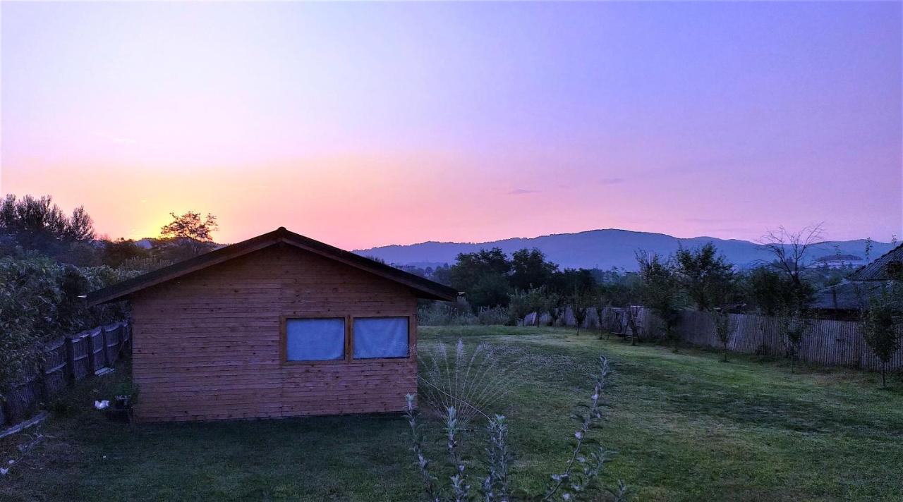 Villa La Livada à Valea Danului Extérieur photo