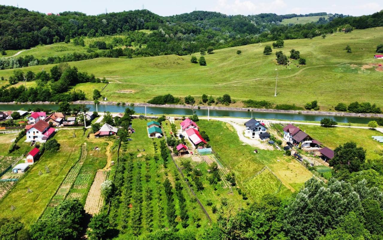 Villa La Livada à Valea Danului Extérieur photo