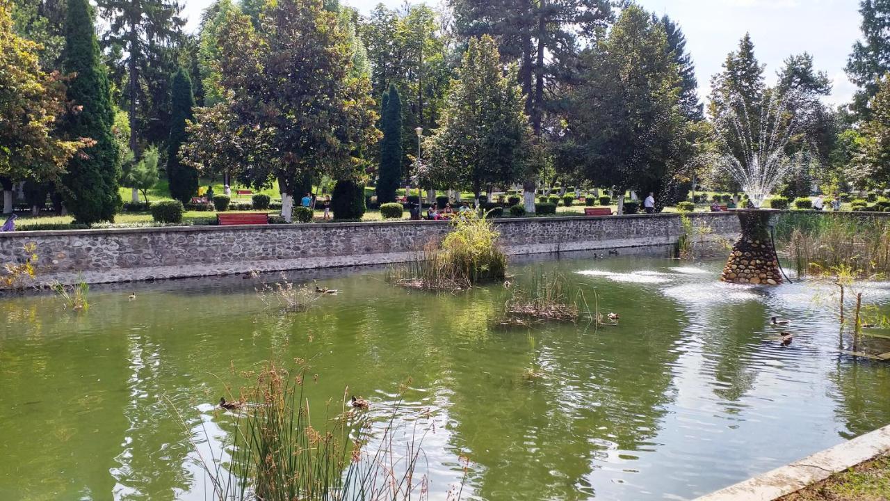 Villa La Livada à Valea Danului Extérieur photo